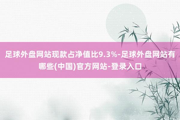 足球外盘网站现款占净值比9.3%-足球外盘网站有哪些(中国)官方网站-登录入口