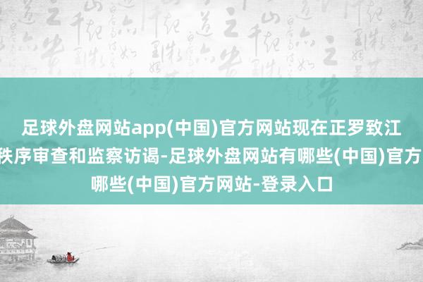 足球外盘网站app(中国)官方网站现在正罗致江苏省纪委监委秩序审查和监察访谒-足球外盘网站有哪些(中国)官方网站-登录入口