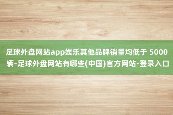 足球外盘网站app娱乐其他品牌销量均低于 5000 辆-足球外盘网站有哪些(中国)官方网站-登录入口