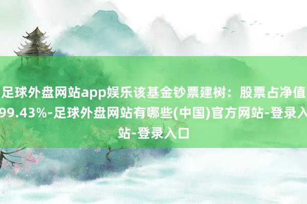 足球外盘网站app娱乐该基金钞票建树：股票占净值比99.43%-足球外盘网站有哪些(中国)官方网站-登录入口