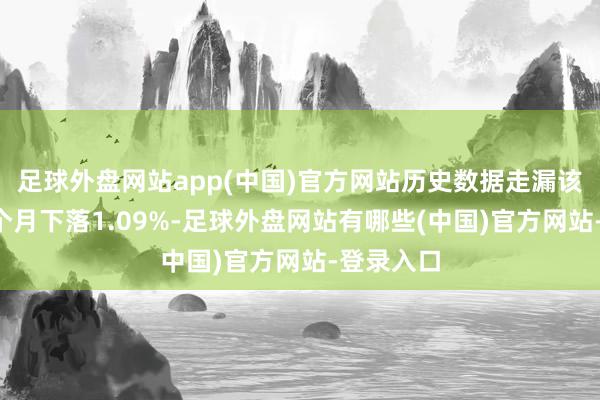 足球外盘网站app(中国)官方网站历史数据走漏该基金近1个月下落1.09%-足球外盘网站有哪些(中国)官方网站-登录入口