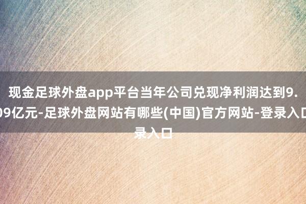 现金足球外盘app平台当年公司兑现净利润达到9.09亿元-足球外盘网站有哪些(中国)官方网站-登录入口